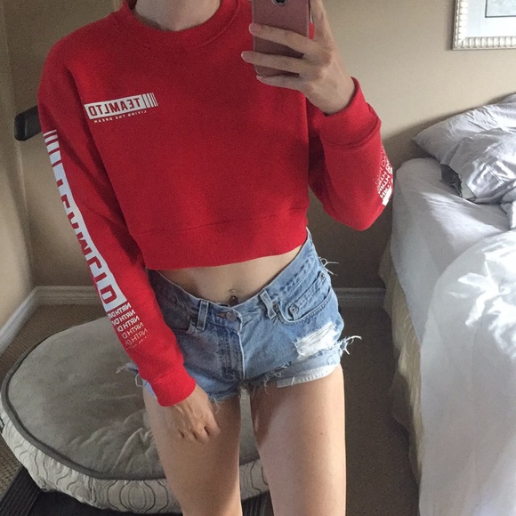 ltd Sweaters - LTD Cropped Hoodie